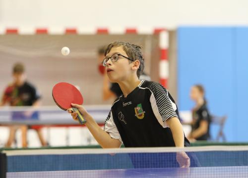 zlota koza 17 i&nbsp;18.05