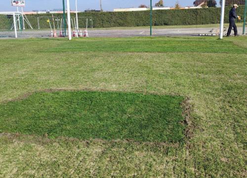 modernizacja boiska 10.11.2024