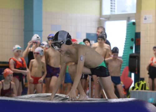 zawody tor pływacki 14.12