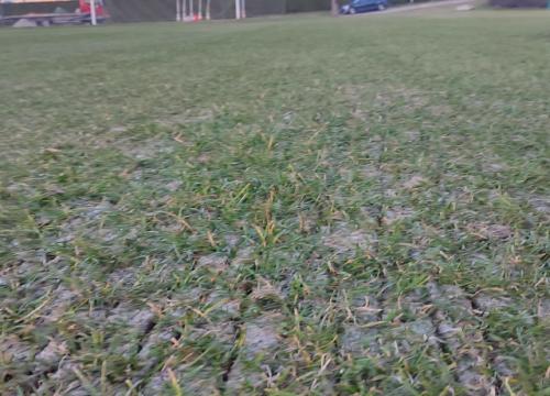 modernizacja boiska 10.11.2024