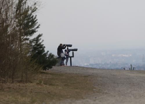 zorientowane kozy 11.04