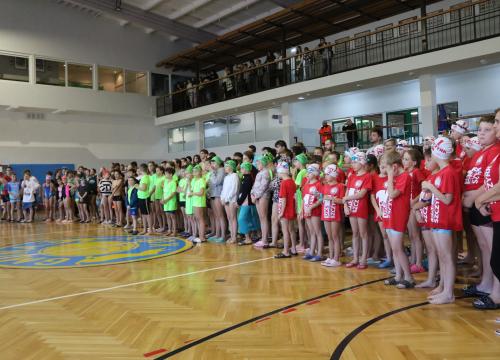 liga pływacka 28.10