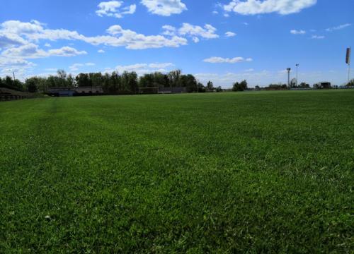 stadion